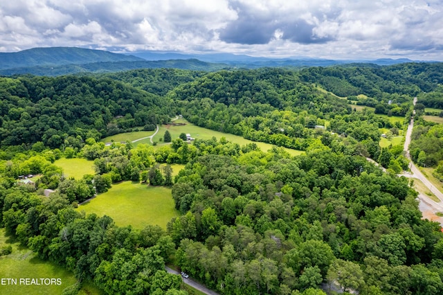 Mullins Way, Maryville, TN 37801