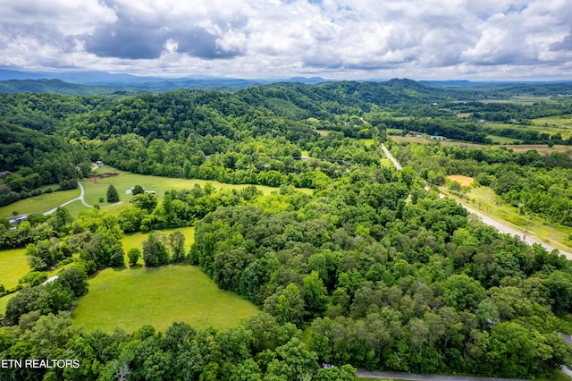 Mullins Way, Maryville, TN 37801