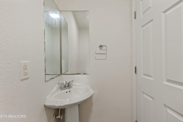 814 Blue Spruce Way, Knoxville, TN 37912 - photo 7