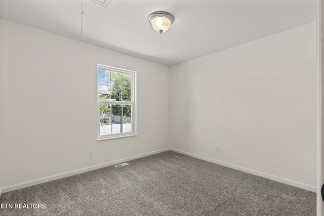 814 Blue Spruce Way, Knoxville, TN 37912 - photo 19