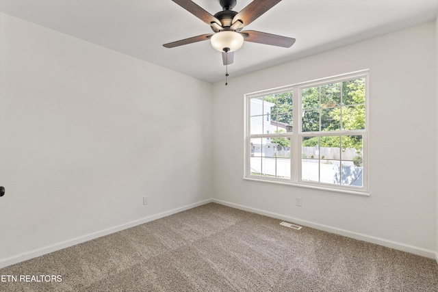 814 Blue Spruce Way, Knoxville, TN 37912 - photo 20