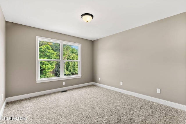 519 Carrington Blvd, Lenoir City, TN 37771 - photo 19