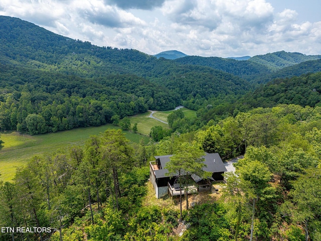 3050 Patty View Way, Sevierville, TN 37862 - view of subject property with a forest and a mountainous background