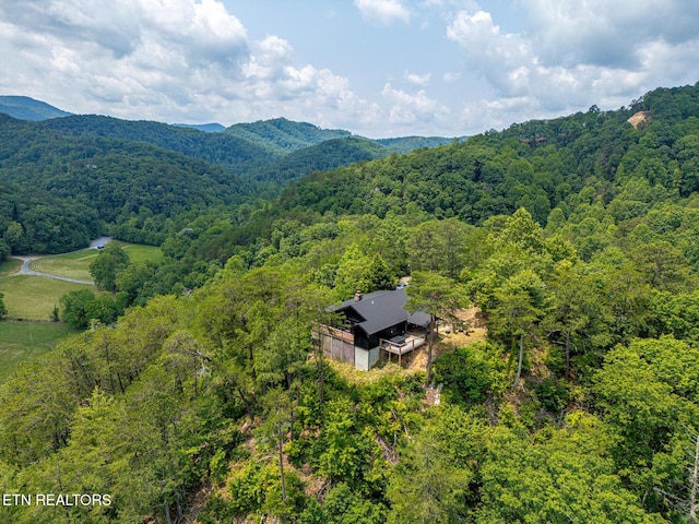 3050 Patty View Way, Sevierville, TN 37862 - view of subject property with a forest and mountains