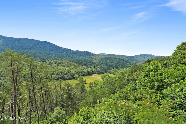 3050 Patty View Way, Sevierville, TN 37862 - mountain view featuring a forest