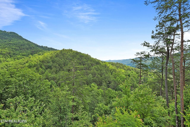 3050 Patty View Way, Sevierville, TN 37862 - mountain view featuring a forest