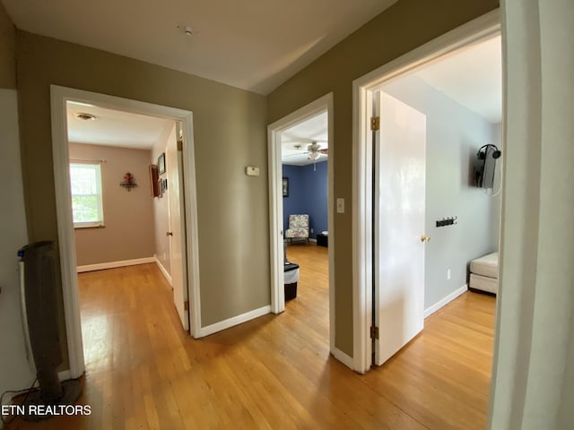 106 Apache Rd, Maryville, TN 37804 - hallway with light wood-style floors and baseboards