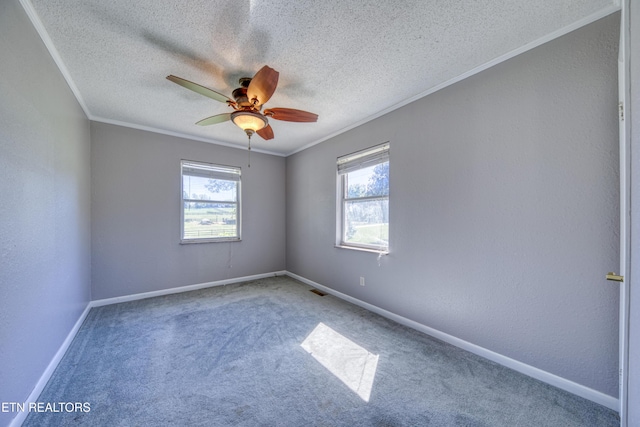 5064 Town Creek Rd, Lenoir City, TN 37772 - photo 16