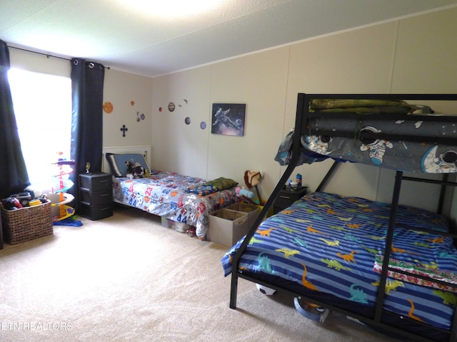 395 E Dumplin Valley Rd, Jefferson City, TN 37760 - bedroom featuring carpet flooring