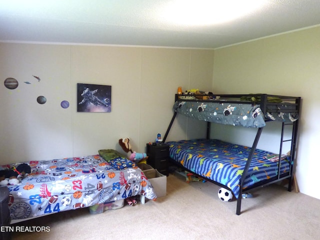 395 E Dumplin Valley Rd, Jefferson City, TN 37760 - bedroom with carpet and crown molding
