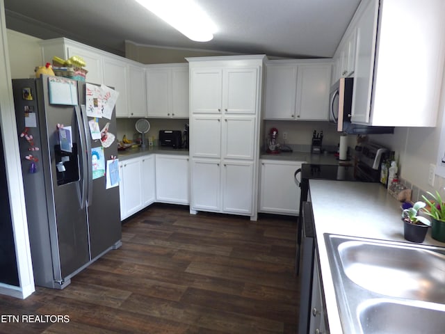 395 E Dumplin Valley Rd, Jefferson City, TN 37760 - kitchen with stainless steel appliances, white cabinetry, dark wood-style floors, a sink, and lofted ceiling