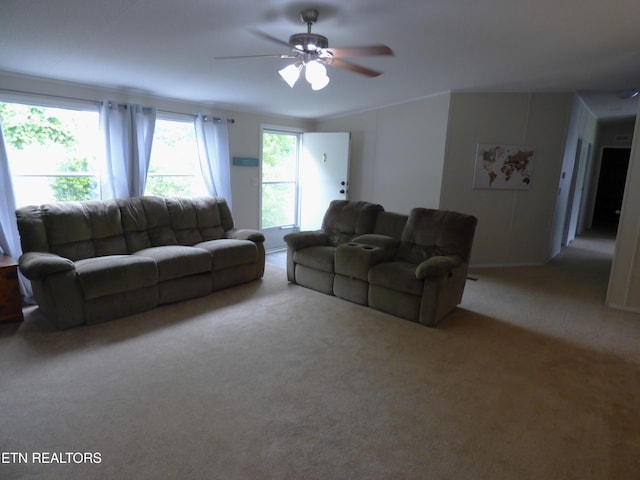 395 E Dumplin Valley Rd, Jefferson City, TN 37760 - carpeted living area featuring a ceiling fan