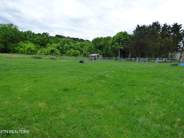 395 E Dumplin Valley Rd, Jefferson City, TN 37760 - view of yard with a forest view