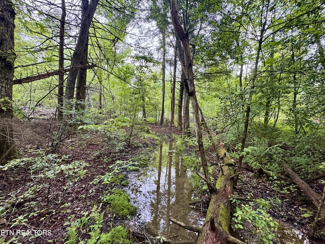 Abe Ln, Lancing, TN 37770 - photo 1