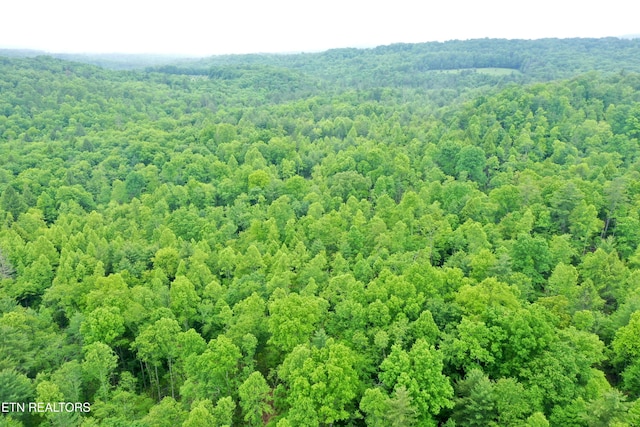 Abe Ln, Lancing, TN 37770 - photo 2