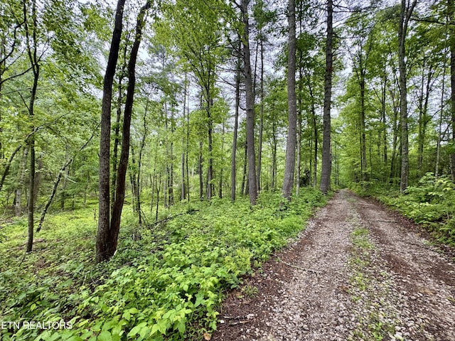 Abe Ln, Lancing, TN 37770 - photo 4