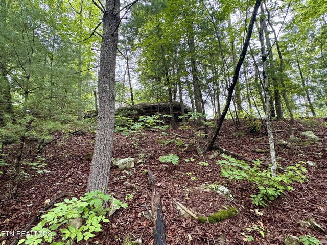 Abe Ln, Lancing, TN 37770 - photo 5