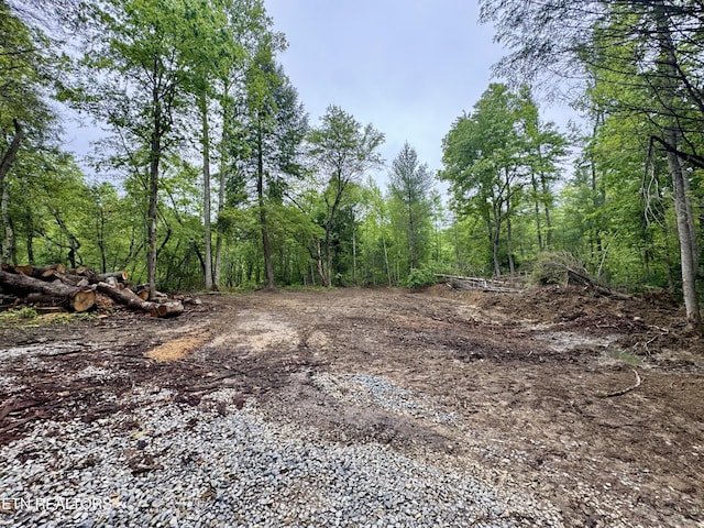 Abe Ln, Lancing, TN 37770 - photo 6