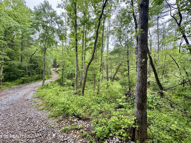 Abe Ln, Lancing, TN 37770 - photo 7