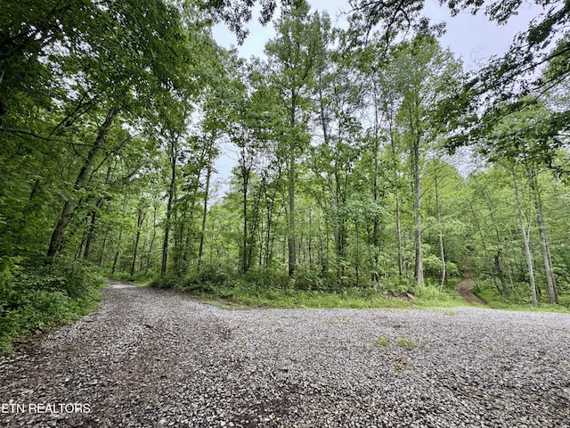 Abe Ln, Lancing, TN 37770 - photo 8
