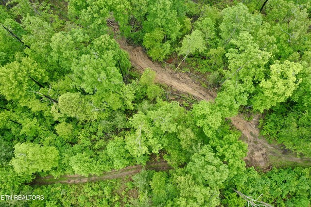 Abe Ln, Lancing, TN 37770 - photo 9