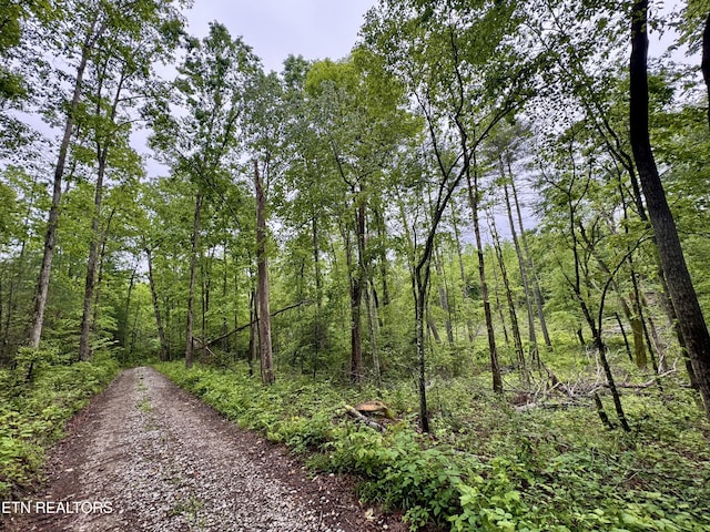 Abe Ln, Lancing, TN 37770 - photo 10
