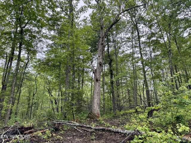 Abe Ln, Lancing, TN 37770 - photo 12
