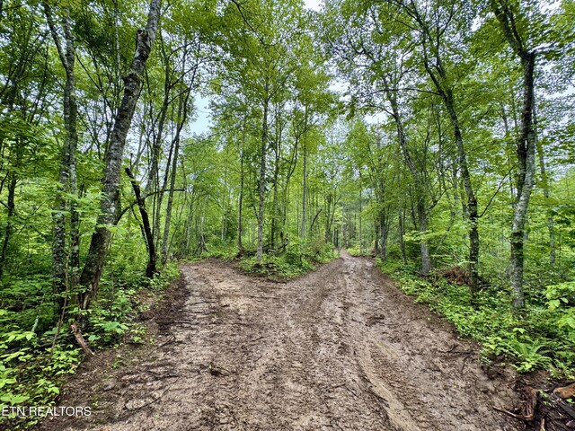Abe Ln, Lancing, TN 37770 - photo 13