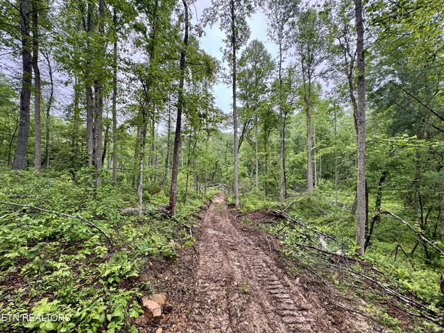 Abe Ln, Lancing, TN 37770 - photo 14