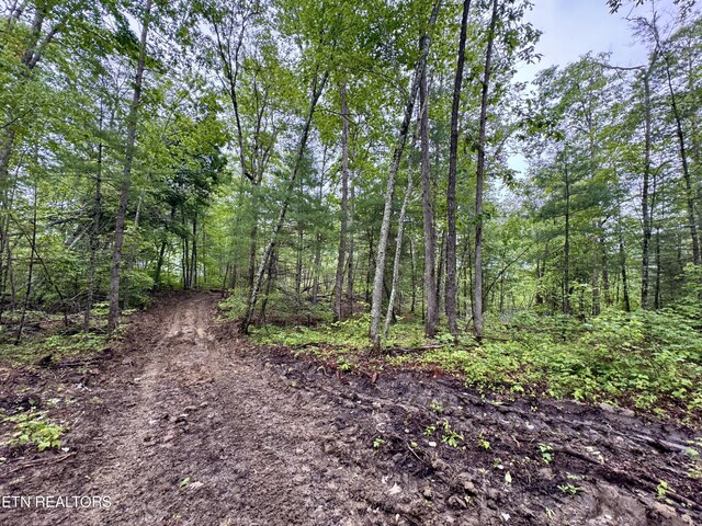 Abe Ln, Lancing, TN 37770 - photo 17