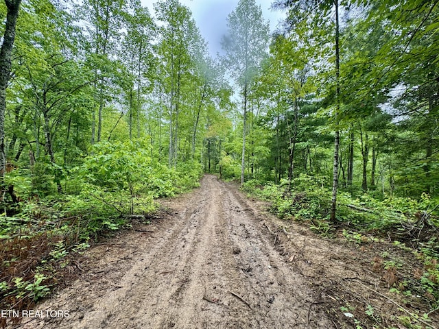 Abe Ln, Lancing, TN 37770 - photo 18