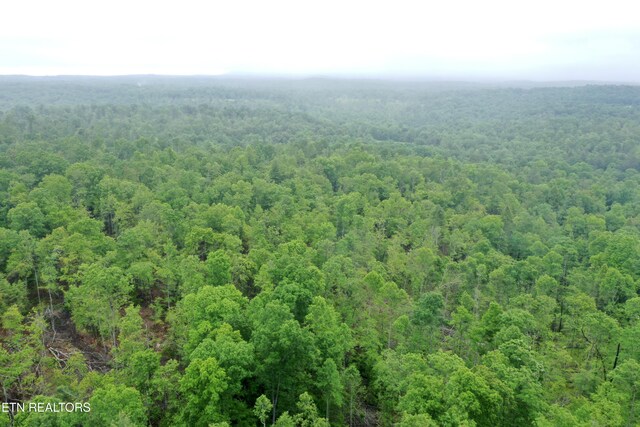Abe Ln, Lancing, TN 37770 - photo 19