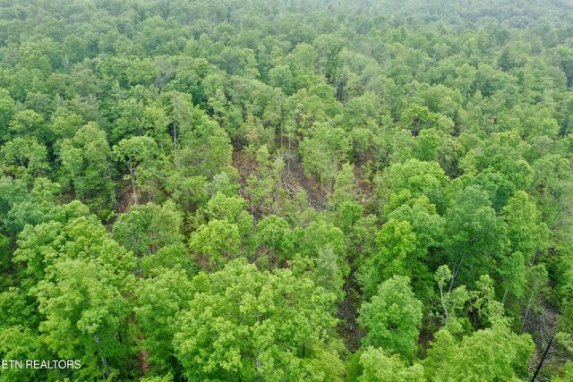 Abe Ln, Lancing, TN 37770 - photo 20