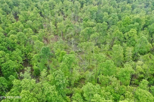 Abe Ln, Lancing, TN 37770 - photo 21