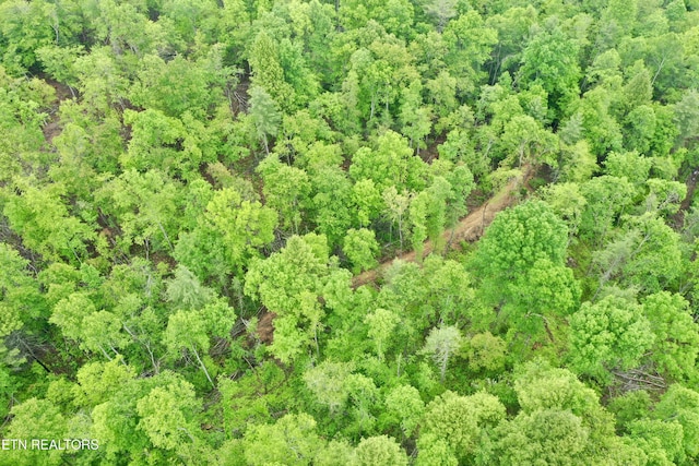 Abe Ln, Lancing, TN 37770 - photo 22