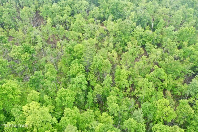 Abe Ln, Lancing, TN 37770 - photo 23