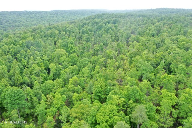 Abe Ln, Lancing, TN 37770 - photo 26