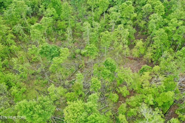 Abe Ln, Lancing, TN 37770 - photo 27