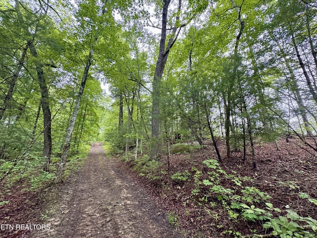 Abe Ln, Lancing, TN 37770 - photo 28
