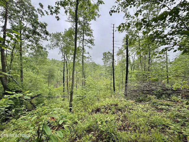 Abe Ln, Lancing, TN 37770 - photo 29