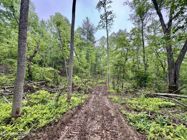 Abe Ln, Lancing, TN 37770 - photo 30