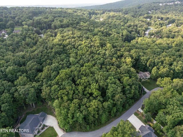 50 Kingsbridge Ln, Fairfield Glade, TN 38558 - photo 4