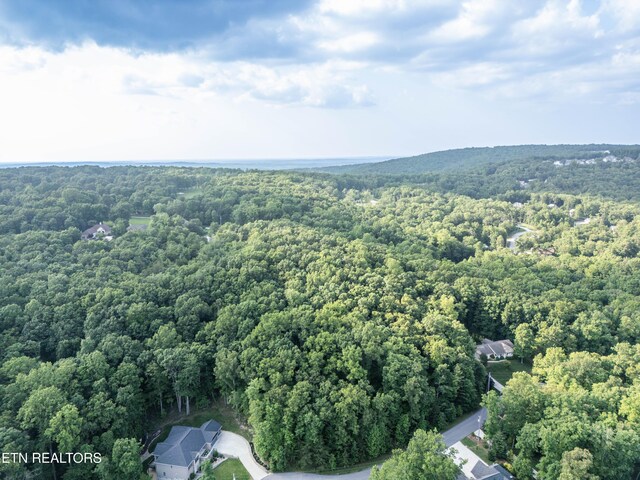 50 Kingsbridge Ln, Fairfield Glade, TN 38558 - photo 5