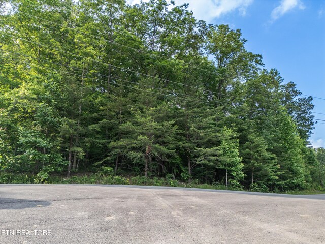 50 Kingsbridge Ln, Fairfield Glade, TN 38558 - photo 6