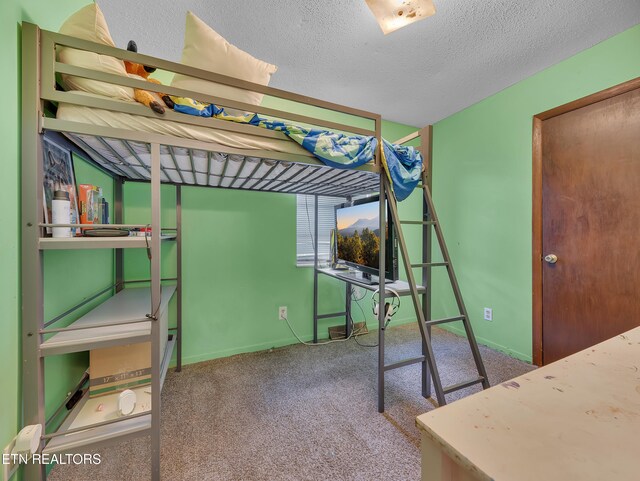3953 Wrights Ferry Rd, Louisville, TN 37777 - photo 15