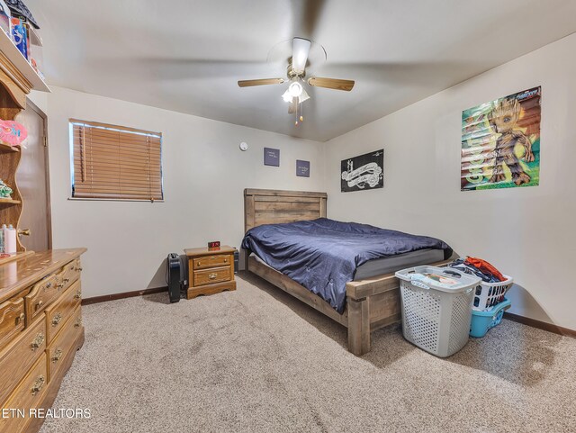 3953 Wrights Ferry Rd, Louisville, TN 37777 - photo 12