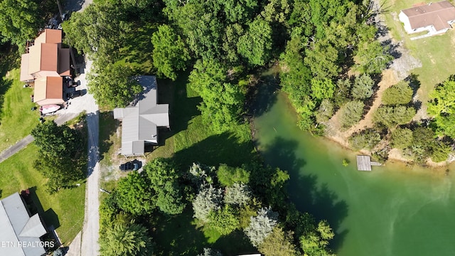 1366 Paradise Ln, Dandridge, TN 37725 - photo 10