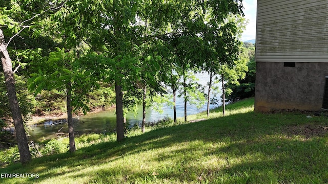 1366 Paradise Ln, Dandridge, TN 37725 - photo 13