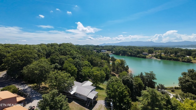 1366 Paradise Ln, Dandridge, TN 37725 - photo 5