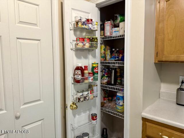 15 Felix Ct, Crossville, TN 38558 - view of pantry